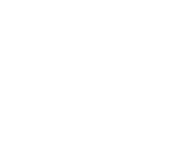 Republic of Gamers